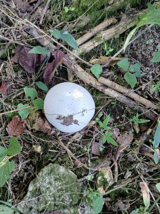 감19765님의 자유주제 · 자유게시판 작성글 사진