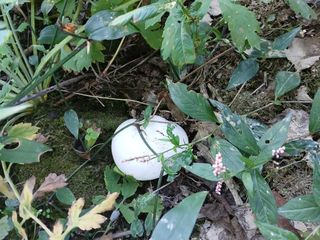 감19765님의 자유주제 · 자유게시판 작성글 사진