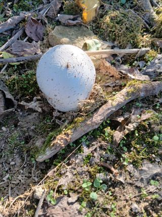감19765님의 자유주제 · 자유게시판 작성글 사진