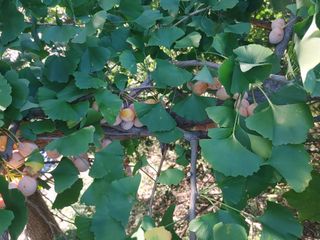 이강준님의 자유주제 · 자유게시판 작성글 사진