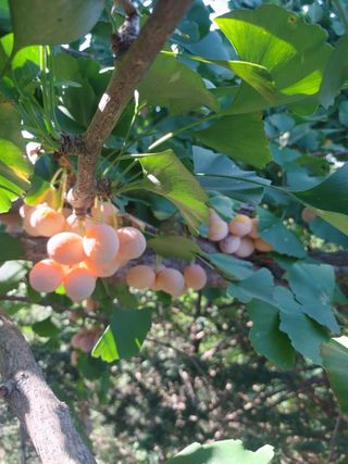 이강준님의 자유주제 · 자유게시판 작성글 사진