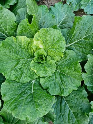 사과는애플님의 자유주제 · 자유게시판 작성글 사진