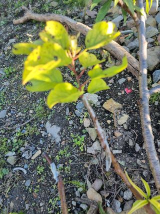 김용대님의 자유주제 · 자유게시판 작성글 사진