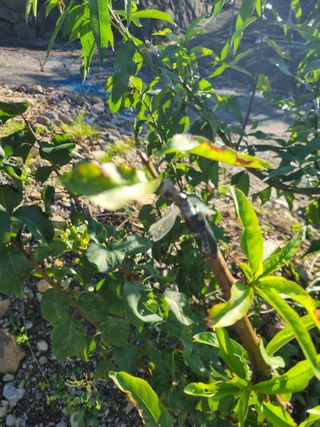 김용대님의 자유주제 · 자유게시판 작성글 사진