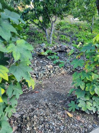 김용대님의 자유주제 · 자유게시판 작성글 사진