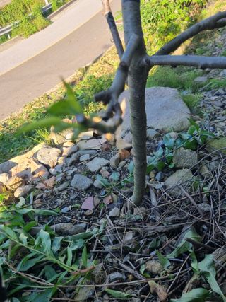 김용대님의 자유주제 · 자유게시판 작성글 사진