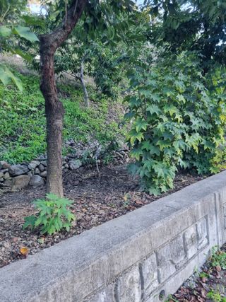 김용대님의 자유주제 · 자유게시판 작성글 사진