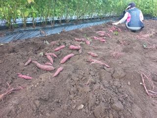 무진장UDT님의 자유주제 · 자유게시판 작성글 사진