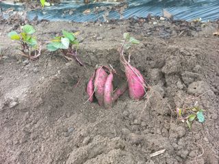 무진장UDT님의 자유주제 · 자유게시판 작성글 사진