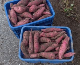 무진장UDT님의 자유주제 · 자유게시판 작성글 사진