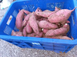 무진장UDT님의 자유주제 · 자유게시판 작성글 사진