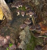 팜모닝 자유주제·자유게시판 게시글 이미지