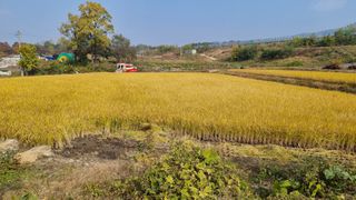 이종열님의 자유주제 · 자유게시판 작성글 사진