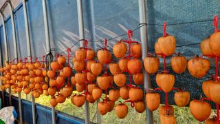 이종열님의 자유주제 · 자유게시판 작성글 사진