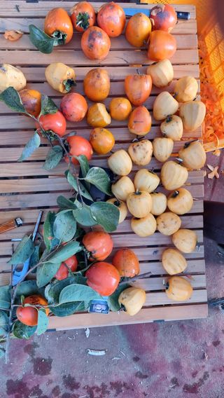 이종열님의 자유주제 · 자유게시판 작성글 사진