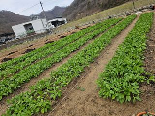 최연재님의 작성글 사진