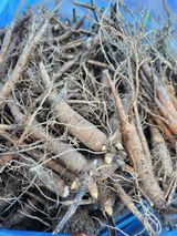 팜모닝 · 게시글 이미지