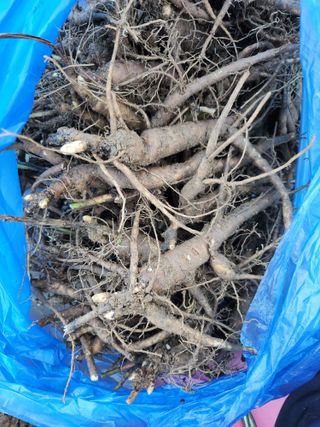 장흥 모경화 님의 작성글 사진