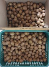 팜모닝 자유주제·자유게시판 게시글 이미지