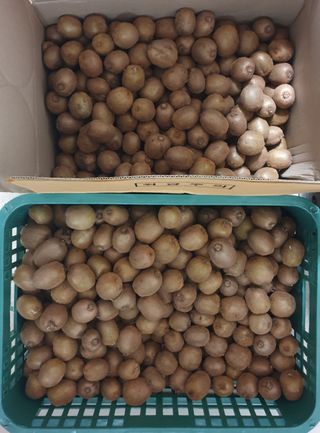 김순필수방님의 자유주제 · 자유게시판 작성글 사진