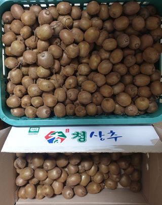 김순필수방님의 자유주제 · 자유게시판 작성글 사진