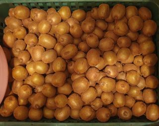 김순필수방님의 자유주제 · 자유게시판 작성글 사진