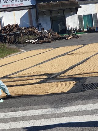 옥천서화농님의 자유주제 · 자유게시판 작성글 사진