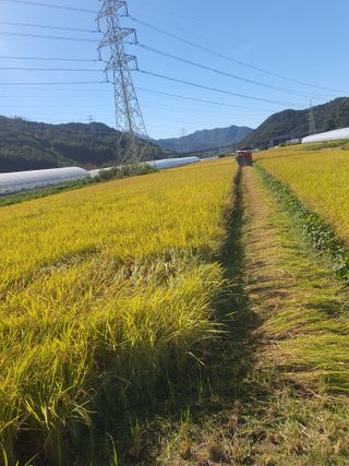 옥천서화농님의 자유주제 · 자유게시판 작성글 사진