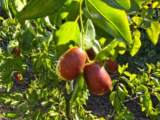 주주농장님의 작성글 사진