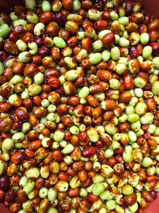 주주농장님의 작성글 사진