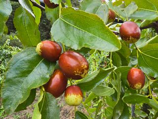 주주농장님의 작성글 사진