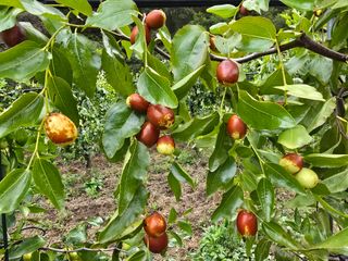 주주농장님의 작성글 사진