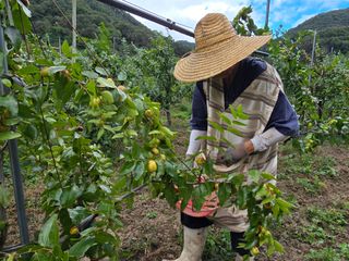 주주농장님의 작성글 사진
