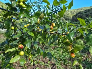 주주농장님의 작성글 사진