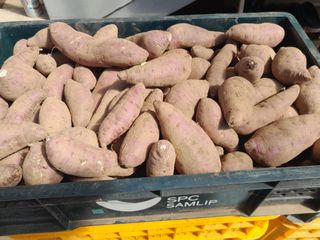 강 찬규님의 작성글 사진