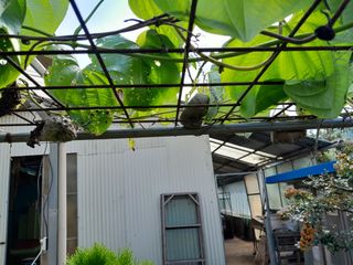 강 찬규님의 작성글 사진