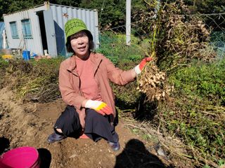 장기준님의 기타작물 · 영농일지 작성글 사진