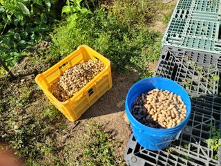 장기준님의 기타작물 · 영농일지 작성글 사진