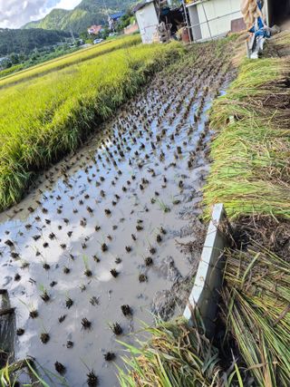 김명철님의 자유주제 · 자유게시판 작성글 사진