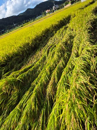 김명철님의 자유주제 · 자유게시판 작성글 사진