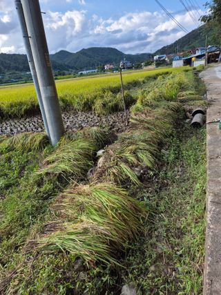 김명철님의 자유주제 · 자유게시판 작성글 사진