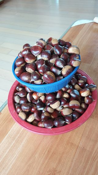 조택준님의 자유주제 · 자유게시판 작성글 사진