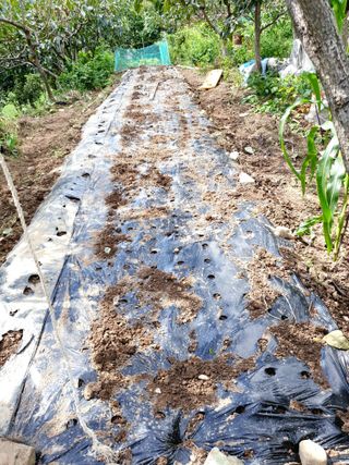 조택준님의 자유주제 · 자유게시판 작성글 사진