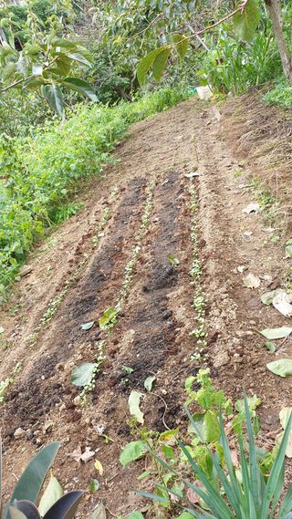 조택준님의 자유주제 · 자유게시판 작성글 사진