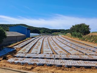 박태현님의 자유주제 · 자유게시판 작성글 사진