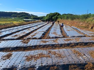 박태현님의 자유주제 · 자유게시판 작성글 사진