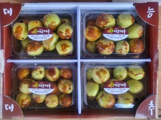 이동엽(양지팜)님의 작성글 사진