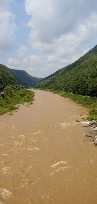 바람부는 날님의 팜모닝 · 출석 작성글 사진
