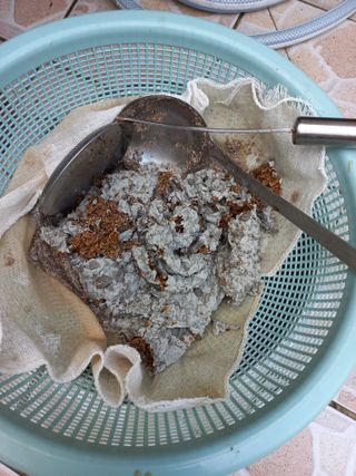 문순님의 농사, 무엇이든 물어보세요! · 참여글 작성글 사진