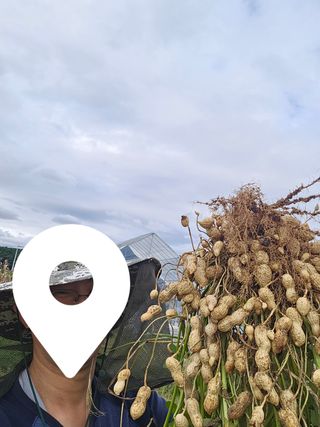 홍박사님의 자유주제 · 자유게시판 작성글 사진